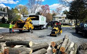Best Landscape Design and Installation  in Rden City, GA